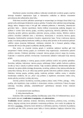 Politika ir politiniai interesai 17 puslapis