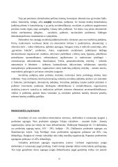 Politika ir politiniai interesai 19 puslapis