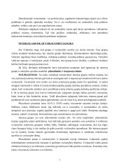 Politika ir politiniai interesai 3 puslapis