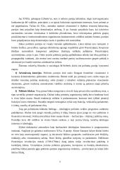 Politika ir politiniai interesai 8 puslapis