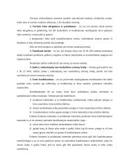 Bausmių sistema ir samprata  5 puslapis