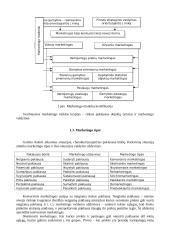 Marketingas. Teorija 2 puslapis