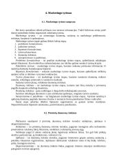 Marketingas. Teorija 12 puslapis