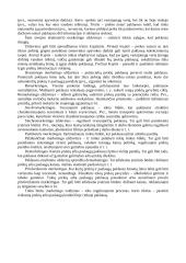 Marketingas. Teorija 3 puslapis