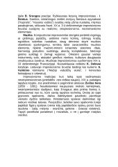 Impresionizmo meno kryptis 4 puslapis