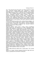 Klasicizmo meno kryptis 2 puslapis
