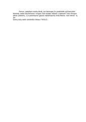 Prie vienos novelės 2 puslapis