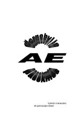  Černobylio atominės elektrinės pasekmės   