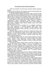  Černobylio atominės elektrinės pasekmės    2 puslapis