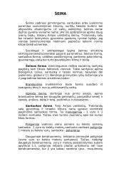 Šeima kaip žmonių susivienijimas 2 puslapis