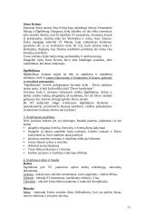 Religijos pasaulyje 11 puslapis