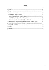 Kelio mokestis 2 puslapis