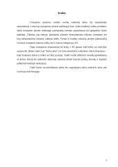 Kelio mokestis 3 puslapis