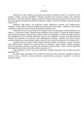 Apskaita - mokesčių sistema 2 puslapis