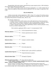 Apskaita - mokesčių sistema 11 puslapis
