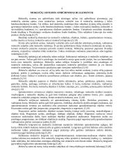 Apskaita - mokesčių sistema 3 puslapis