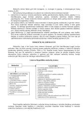 Apskaita - mokesčių sistema 4 puslapis