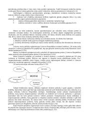 Apskaita - mokesčių sistema 7 puslapis