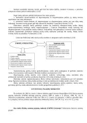 Apskaita - mokesčių sistema 8 puslapis