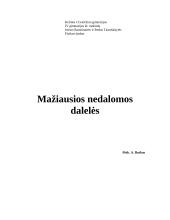 Mažiausios nedalomos dalelės