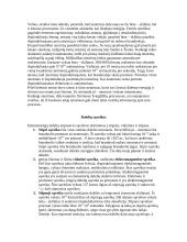 Mažiausios nedalomos dalelės 7 puslapis