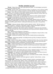 Medžių simbolinė prasmė