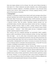 Civilizacijų konfliktai 11 puslapis