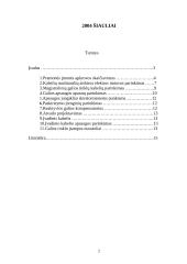 Metalo apdorojimo cecho elektros sistema 2 puslapis