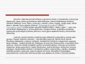 Jurgis Savickis 1890-1952 - gyvenimas ir kūryba 19 puslapis