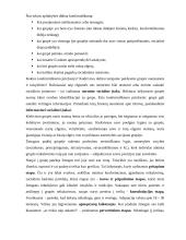 Psichosocialinis klimatas grupėje 3 puslapis