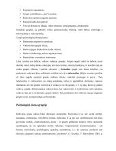 Psichosocialinis klimatas grupėje 5 puslapis