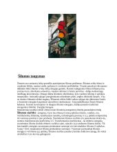 Taupymas inžineriniuose tinkluose 3 puslapis