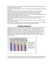 Taupymas inžineriniuose tinkluose 10 puslapis