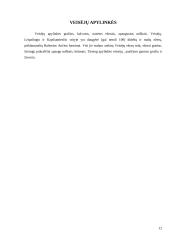 Lietuvos miestų istorija: Lazdijai ir jų apylinkės 12 puslapis