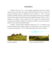 Lietuvos miestų istorija: Lazdijai ir jų apylinkės 7 puslapis