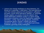 Lazdijai ir jų apylinkės  3 puslapis