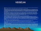 Lazdijai ir jų apylinkės  9 puslapis