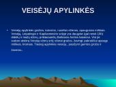 Lazdijai ir jų apylinkės  10 puslapis