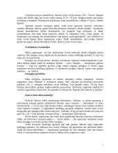 Moters grožis ir mityba 3 puslapis