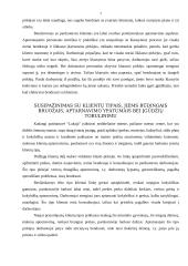 Pardavimo organizavimo ypatumai UAB Lakaja 7 puslapis