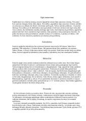 Senovės egiptiečių matematika 5 puslapis