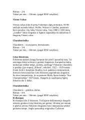 Pasaulinė dešimties sportinių šokių programa 2 puslapis