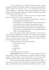 Aplinkos tarša bei žmogaus sveikata 2 puslapis