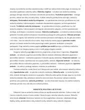 Mokesčiai ir jų politika Lietuvoje 2 puslapis