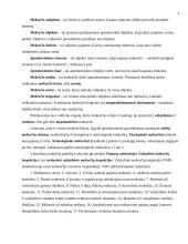 Mokesčiai ir jų politika Lietuvoje 3 puslapis