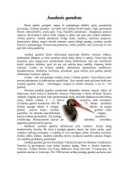 Juodasis gandras ir jo charakteristika 2 puslapis