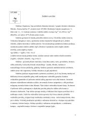 Sidabro savybės, panaudojimas ir gavyba 3 puslapis