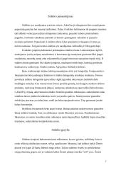 Sidabro savybės, panaudojimas ir gavyba 7 puslapis