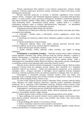 Mokymo pagrindai 5 puslapis