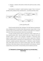 Sprendimų parengimas, priėmimo ir jų įgyvendinimo procesai (teorija ir praktika) 12 puslapis